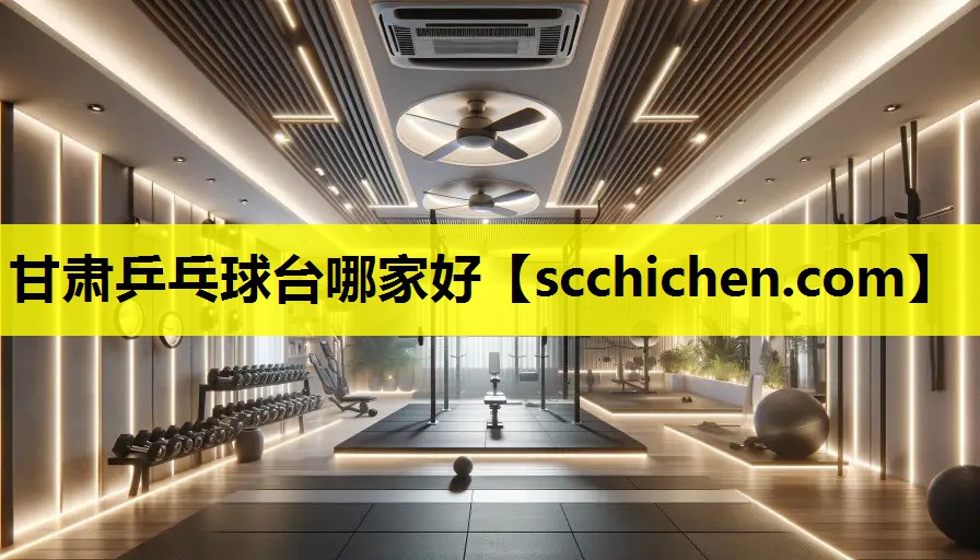 甘肃乒乓球台哪家好