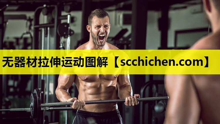 无器材拉伸运动图解