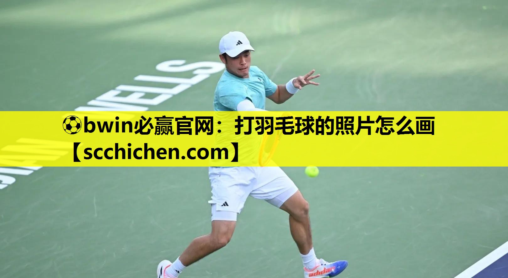 ⚽bwin必赢官网：打羽毛球的照片怎么画