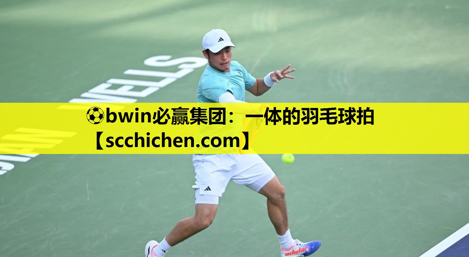 ⚽bwin必赢集团：一体的羽毛球拍