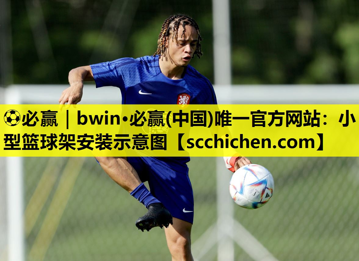 ⚽必赢｜bwin·必赢(中国)唯一官方网站：小型篮球架安装示意图