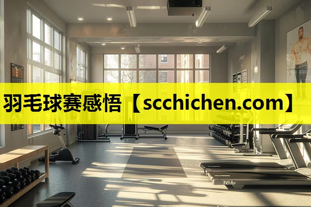 羽毛球赛感悟