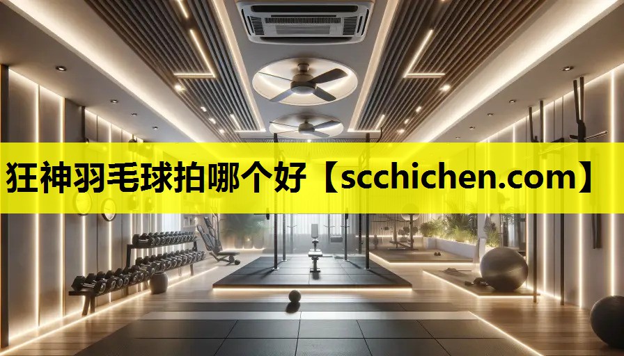 狂神羽毛球拍哪个好