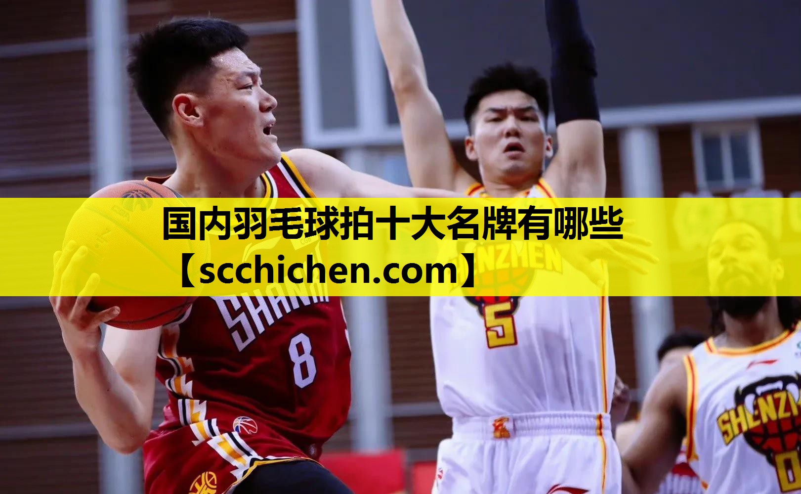 国内羽毛球拍十大名牌有哪些