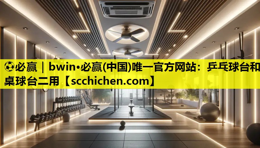 乒乓球台和桌球台二用