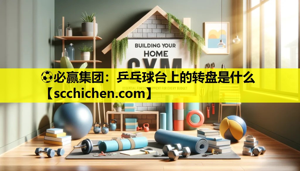 乒乓球台上的转盘是什么