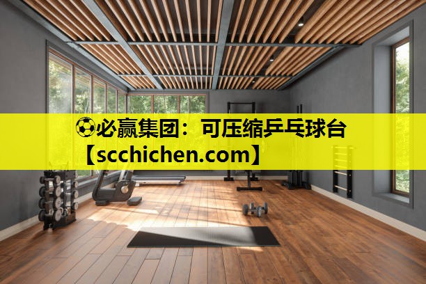 可压缩乒乓球台