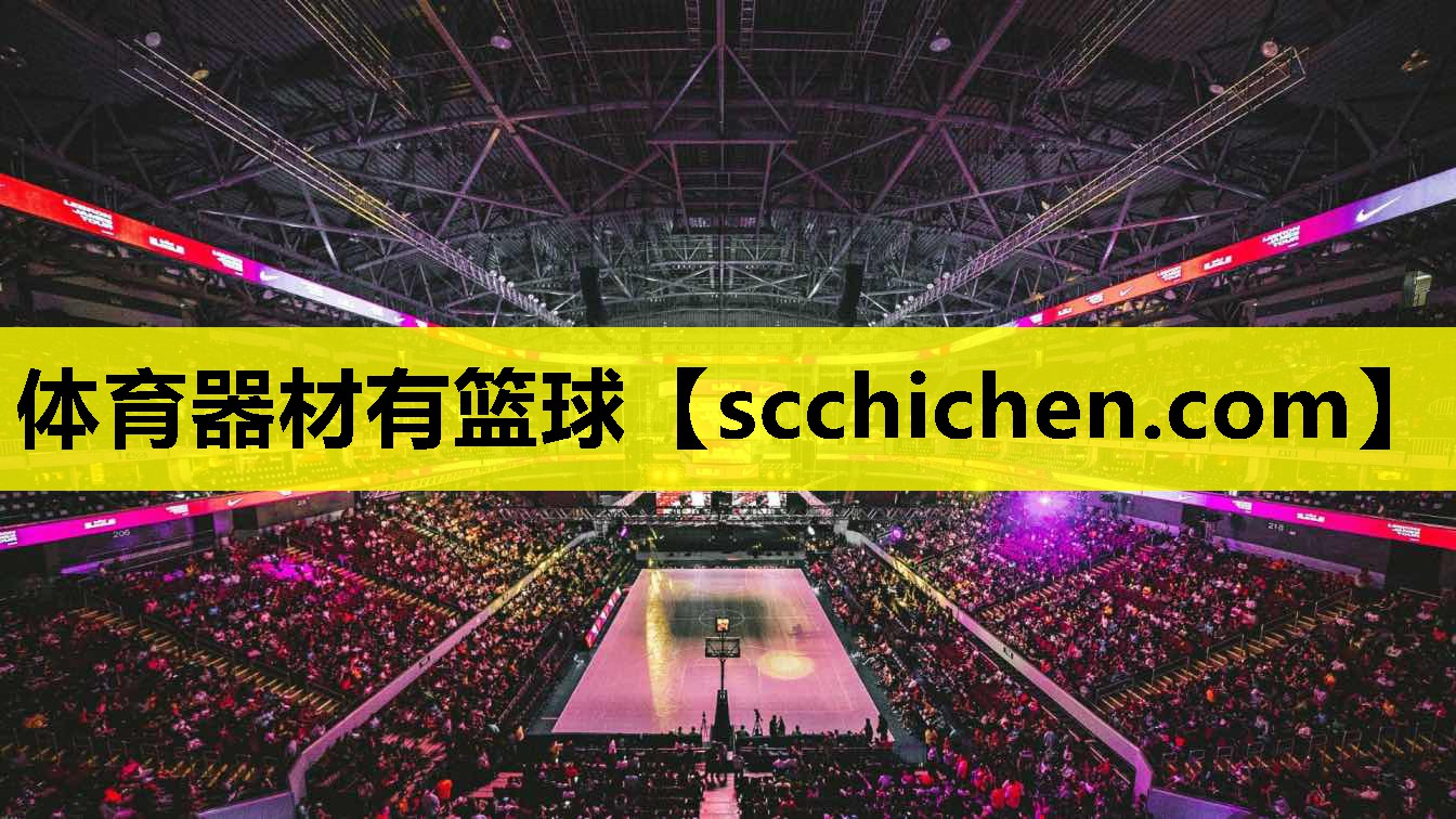 体育器材有篮球