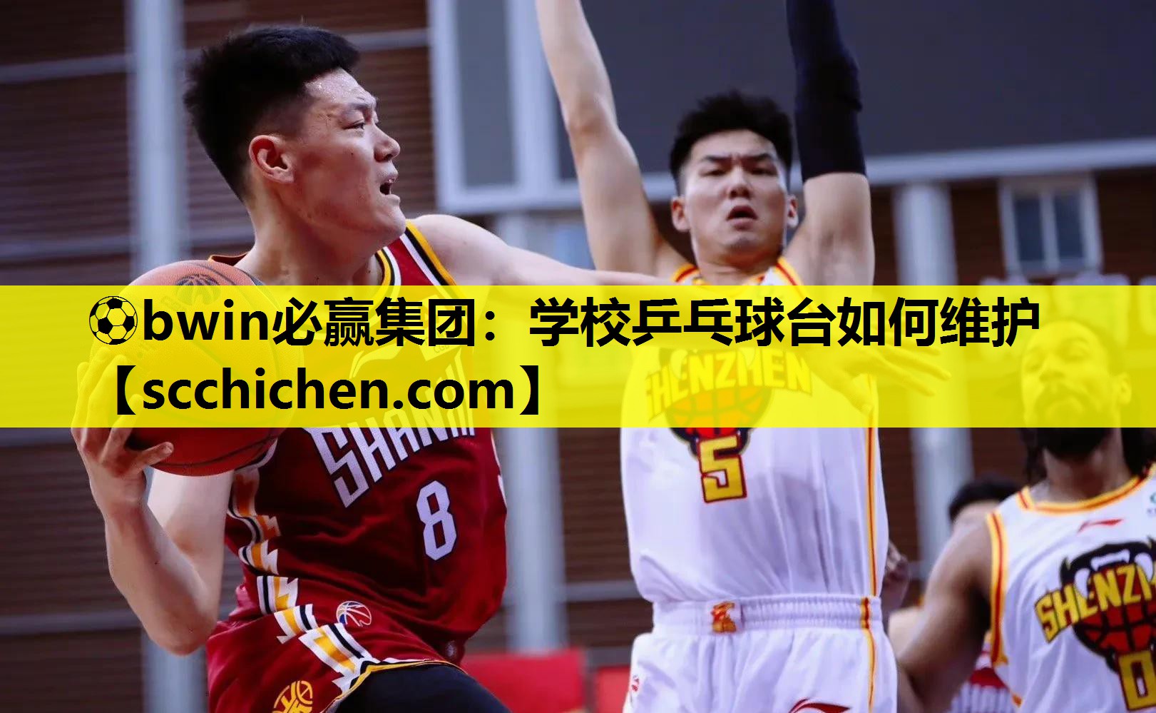 学校乒乓球台如何维护