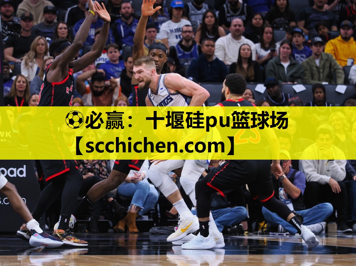 十堰硅pu篮球场