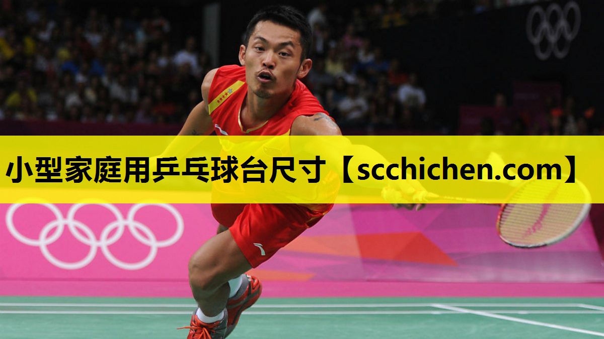 小型家庭用乒乓球台尺寸