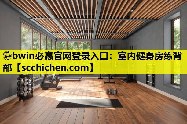 室内健身房练背部