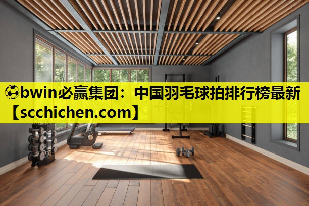 中国羽毛球拍排行榜最新