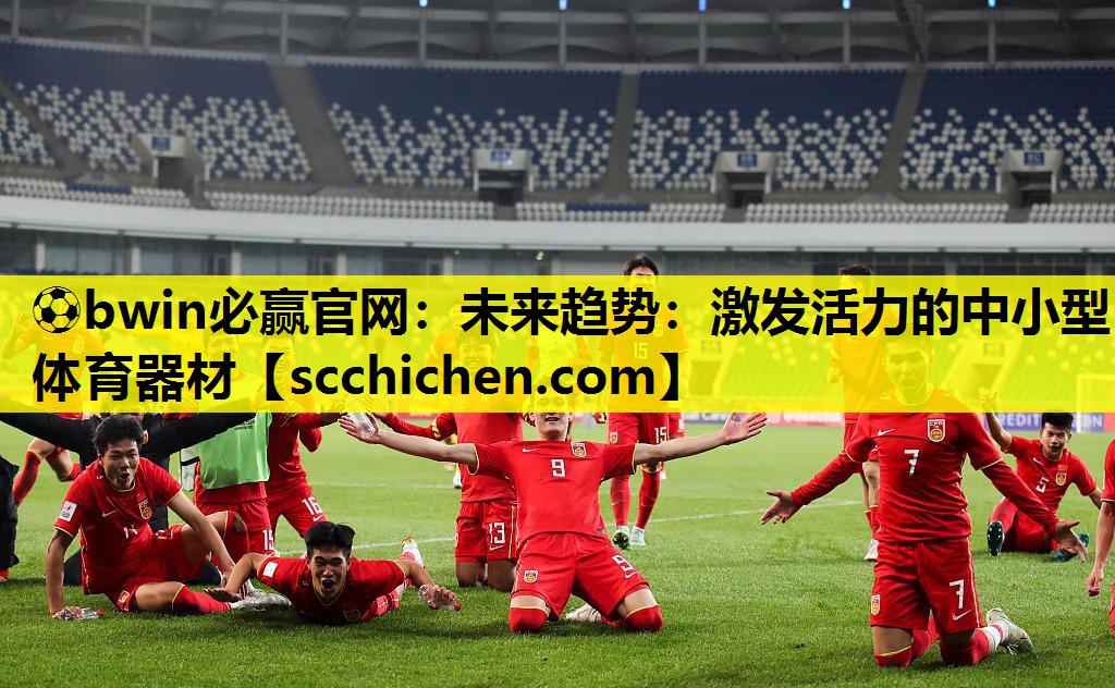 未来趋势：激发活力的中小型体育器材