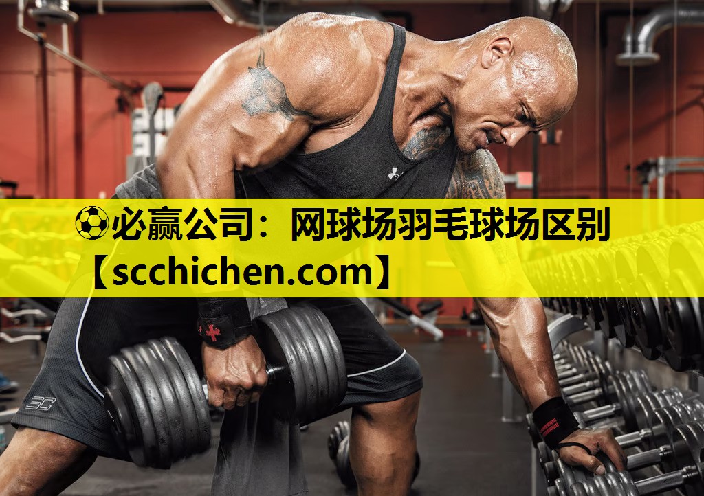 网球场羽毛球场区别