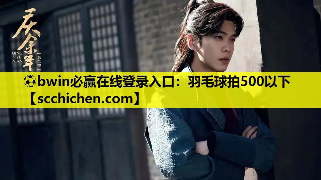 羽毛球拍500以下