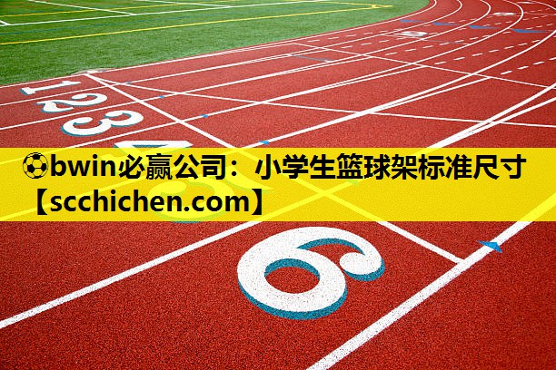 小学生篮球架标准尺寸