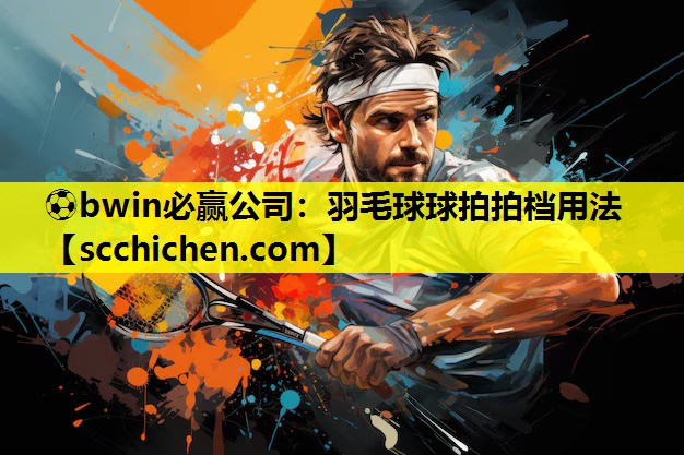 羽毛球球拍拍档用法
