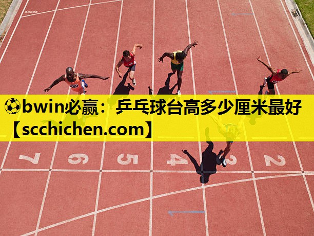 乒乓球台高多少厘米最好