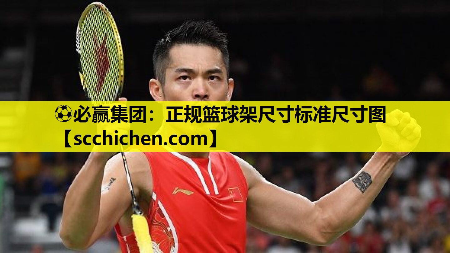 正规篮球架尺寸标准尺寸图
