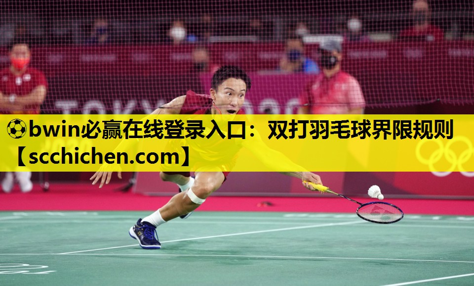 双打羽毛球界限规则