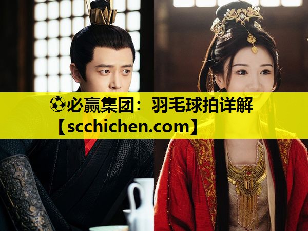 羽毛球拍详解