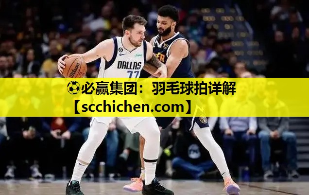 羽毛球拍详解