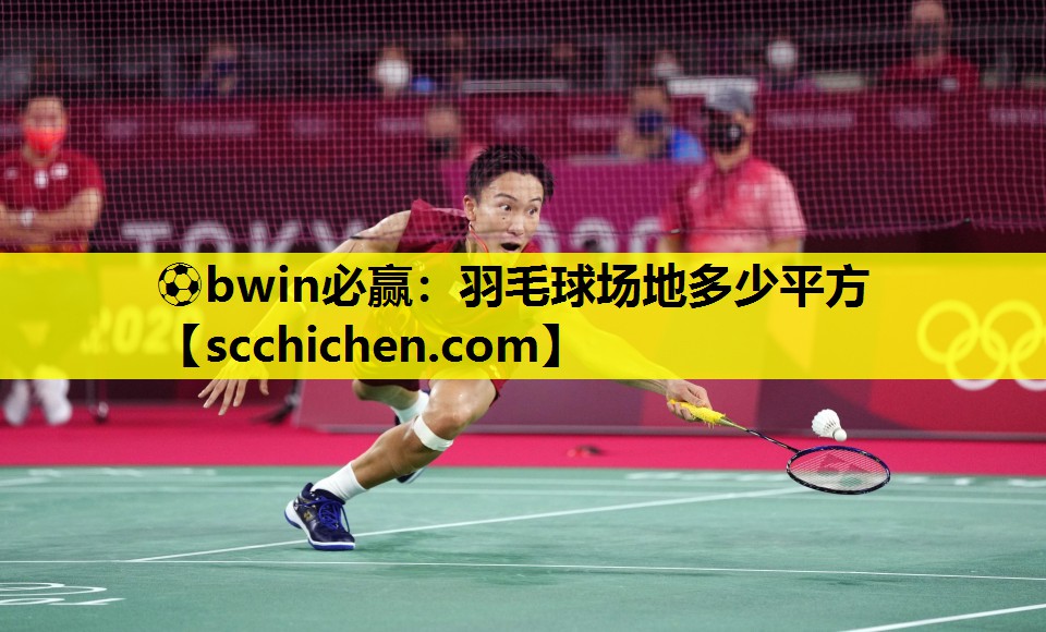 羽毛球场地多少平方