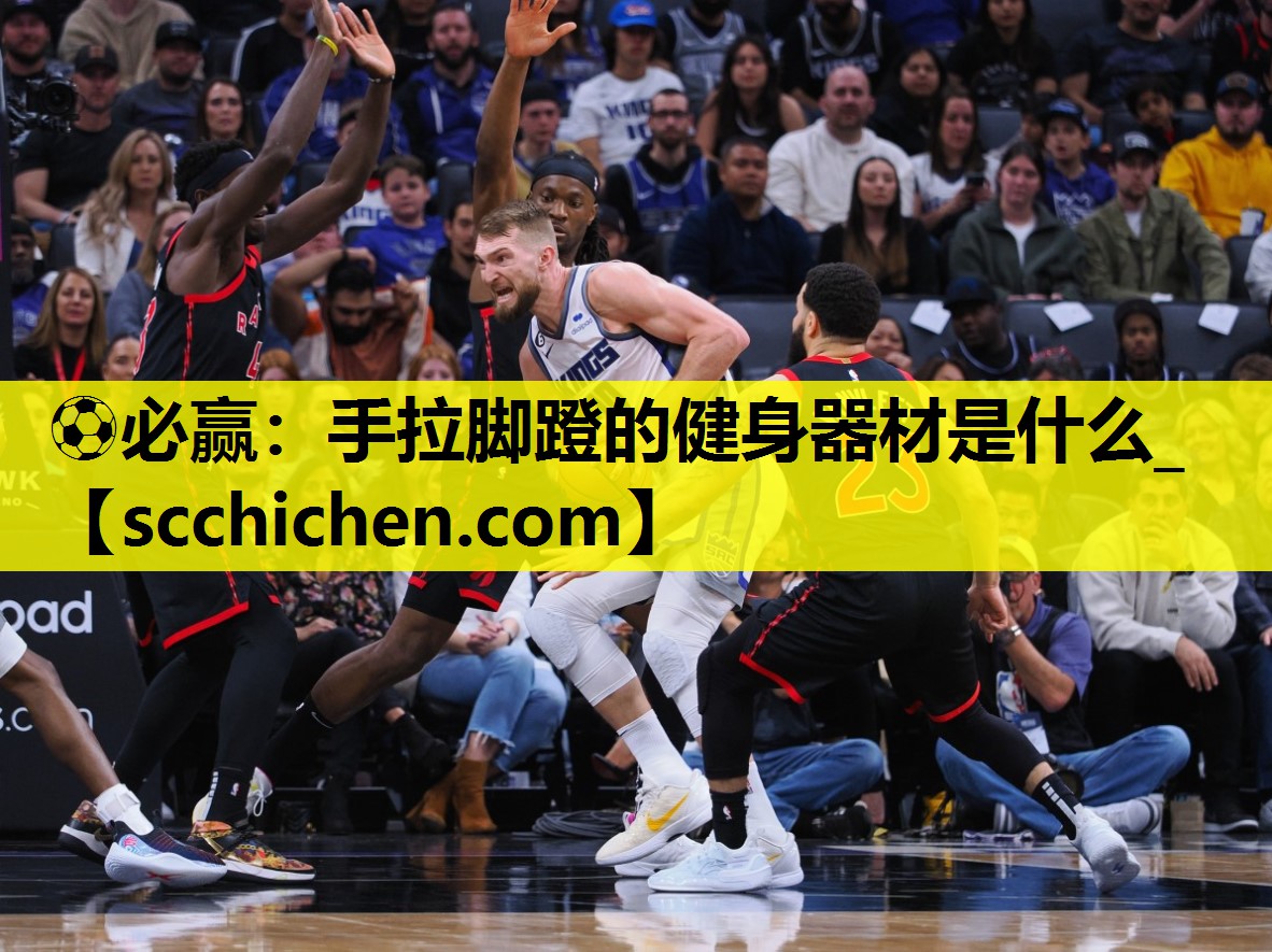 手拉脚蹬的健身器材是什么_