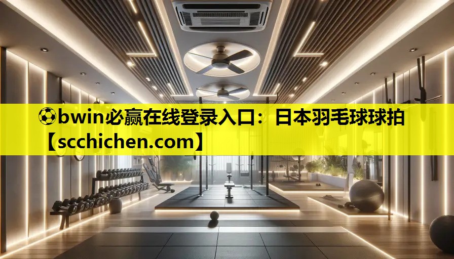 日本羽毛球球拍