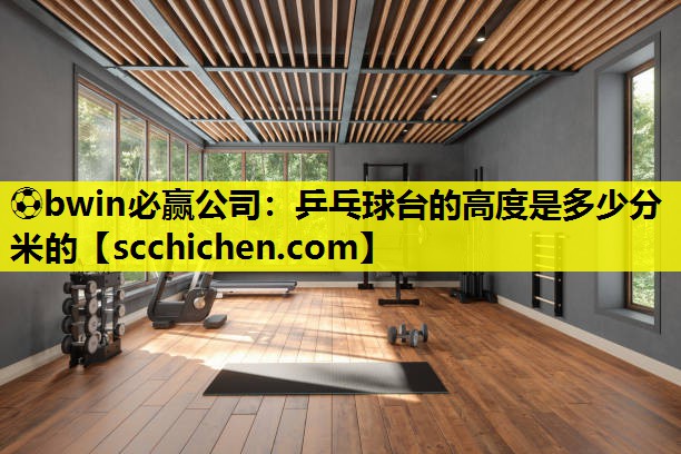 乒乓球台的高度是多少分米的