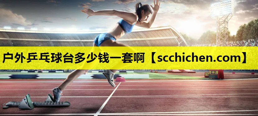 户外乒乓球台多少钱一套啊