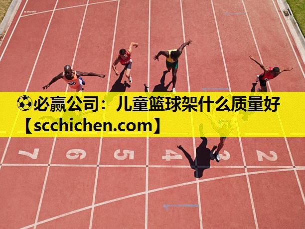 儿童篮球架什么质量好