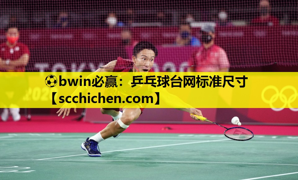乒乓球台网标准尺寸