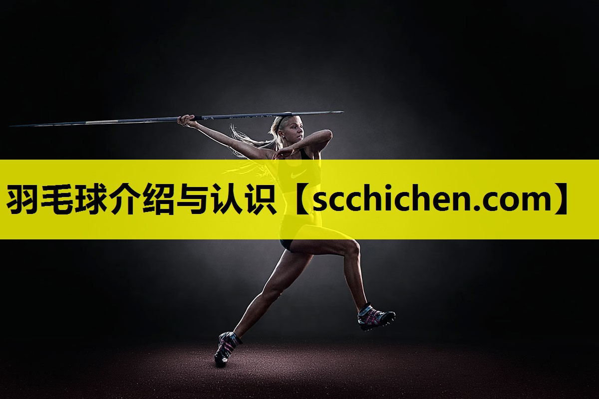 羽毛球介绍与认识