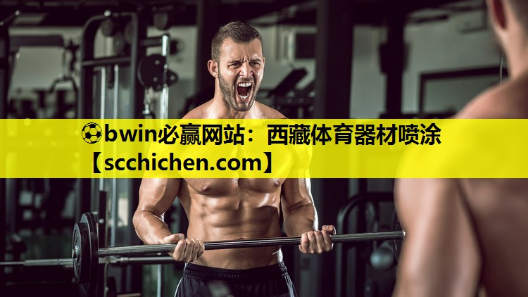 西藏体育器材喷涂