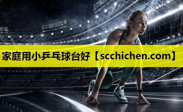家庭用小乒乓球台好