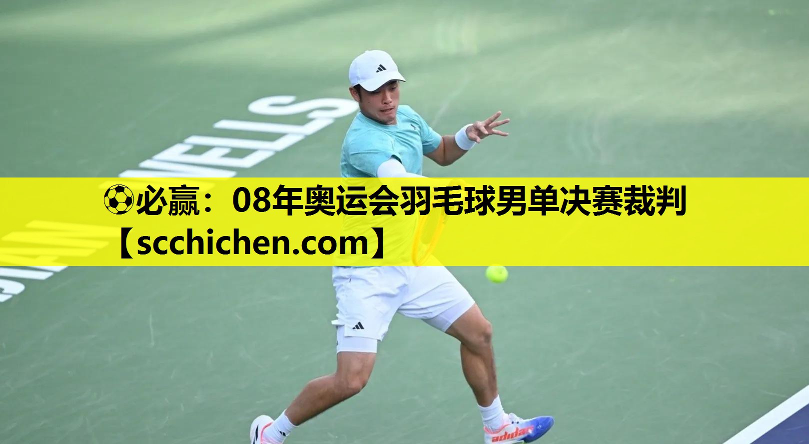 08年奥运会羽毛球男单决赛裁判