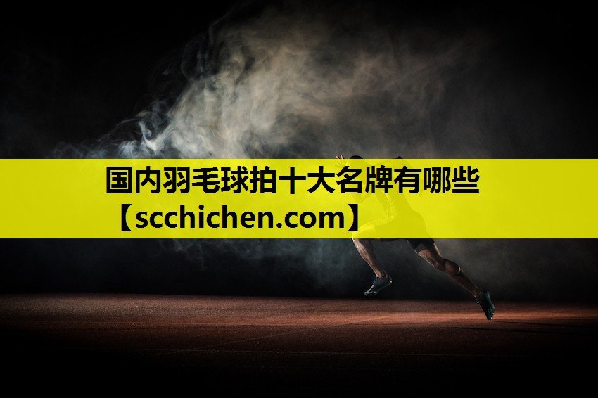 国内羽毛球拍十大名牌有哪些