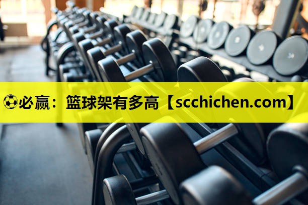 篮球架有多高
