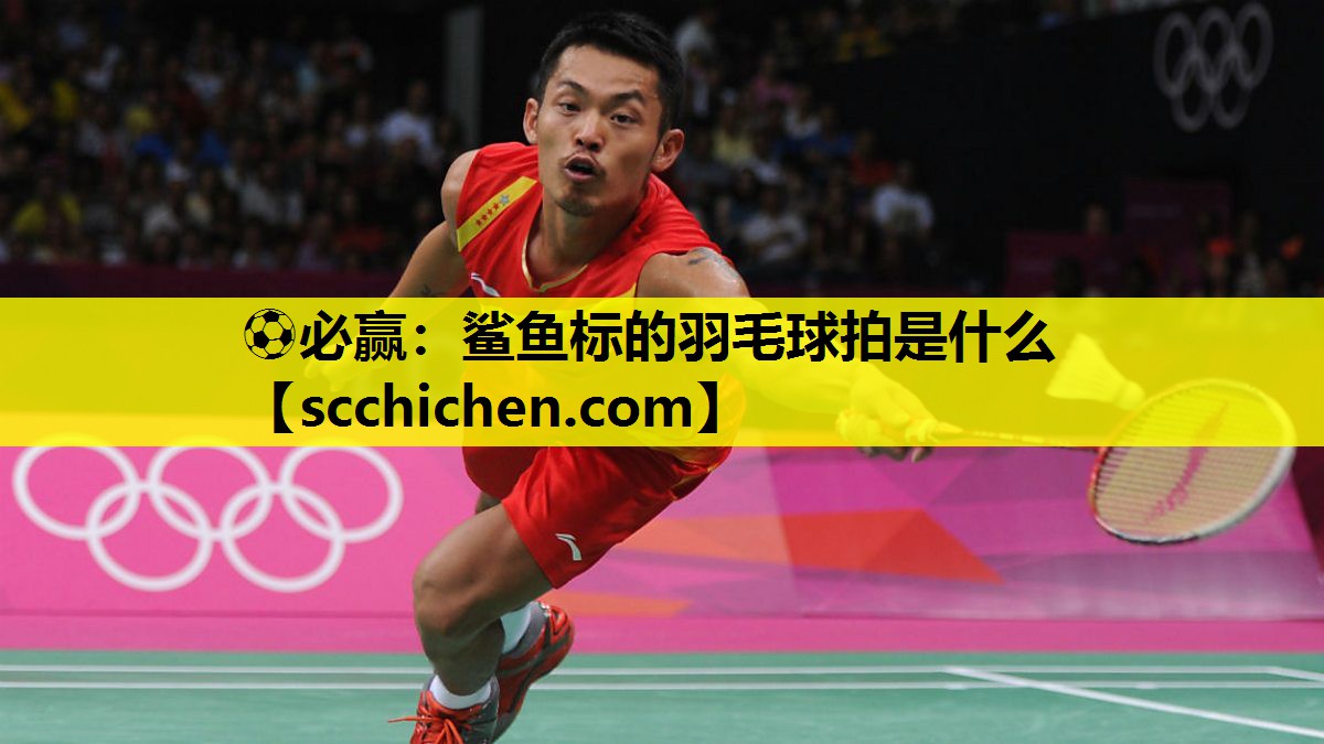 鲨鱼标的羽毛球拍是什么